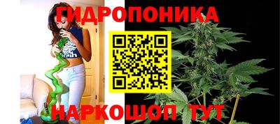 мдпв Новокубанск