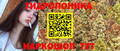 каннабис Новозыбков
