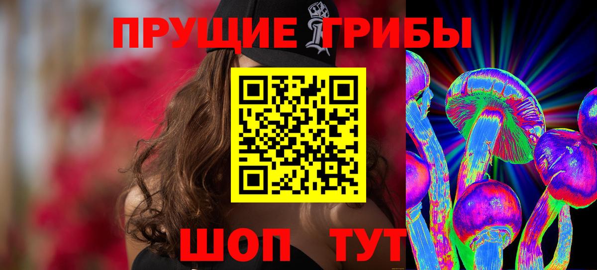 Галлюциногенные грибы Psilocybine cubensis Советск